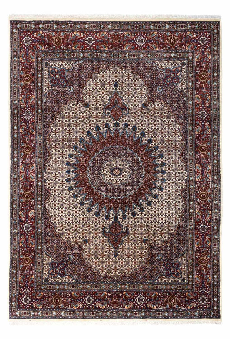 Moud Tapete 343x243cm - Tapete persa