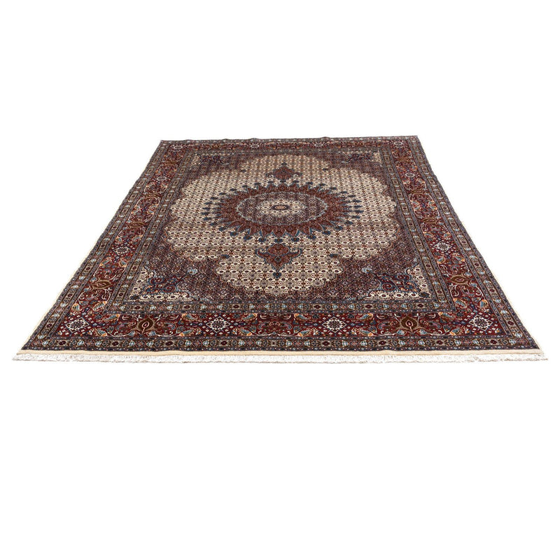 Moud Tapete 343x243cm - Tapete persa