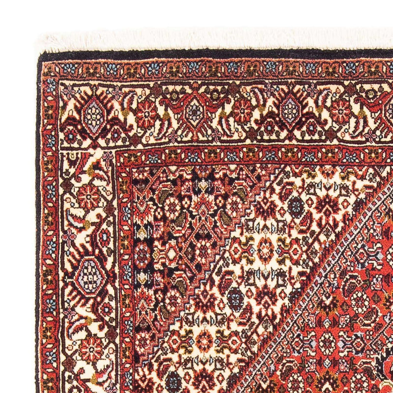 Bidjar - Zanjan Tapete 190x110cm - Tapete persa