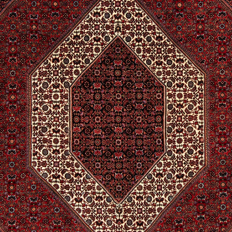 Bidjar Tapete 253x200cm - Tapete persa