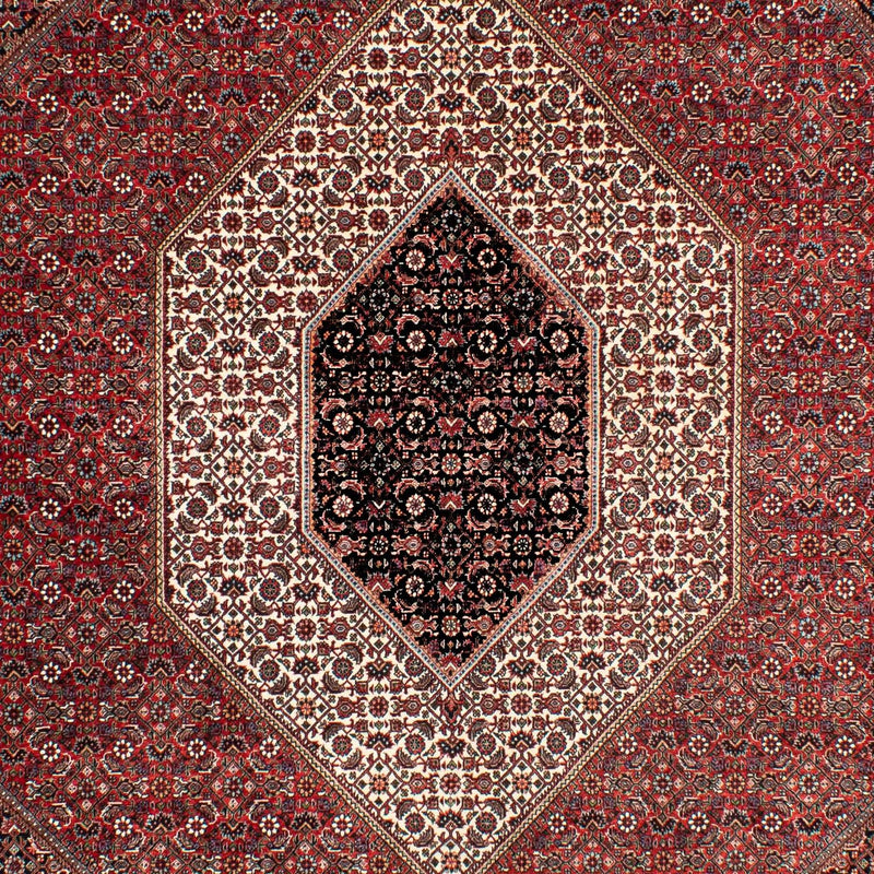 Bidjar Tapete 303x203cm - Tapete persa