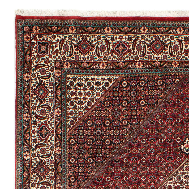 Bidjar Tapete 303x203cm - Tapete persa