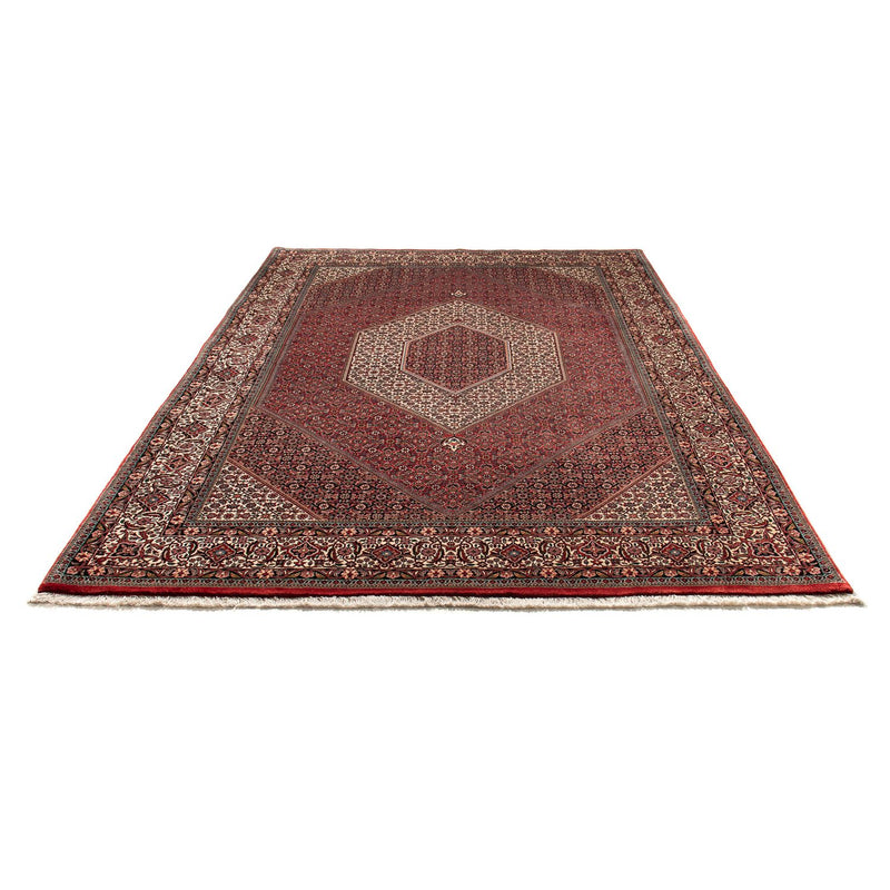 Bidjar Tapete 303x203cm - Tapete persa