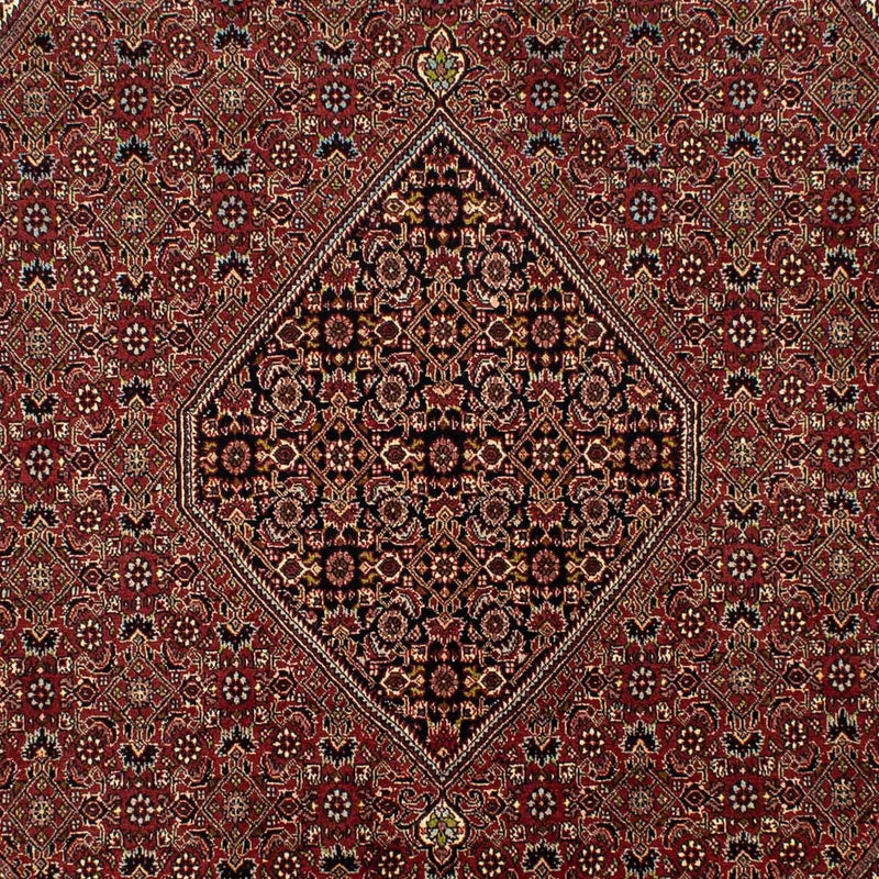 Bidjar Tapete 200x295cm - Tapete persa