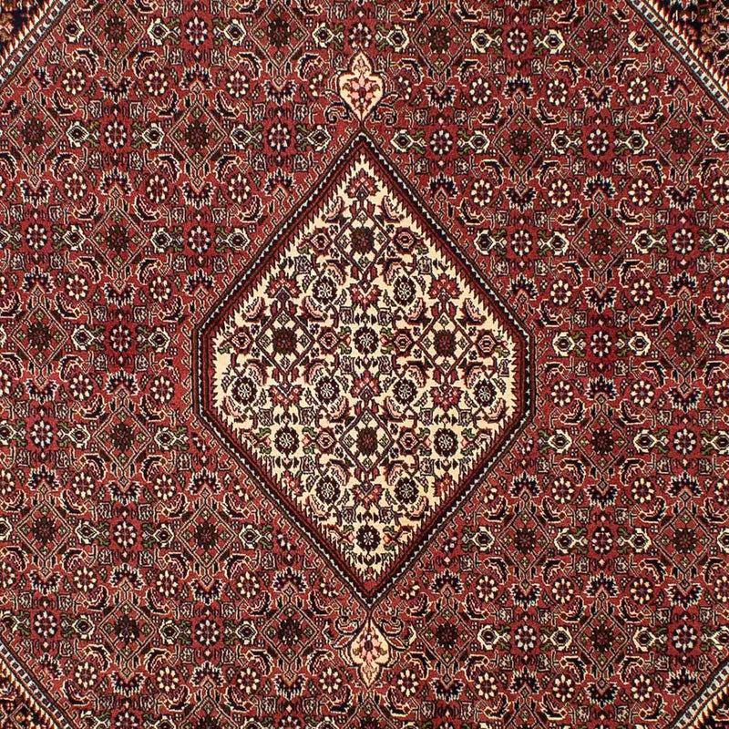 Bidjar Tapete 200x298cm - Tapete persa