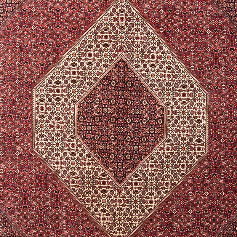 Bidjar Tapete 350x254cm - Tapete persa