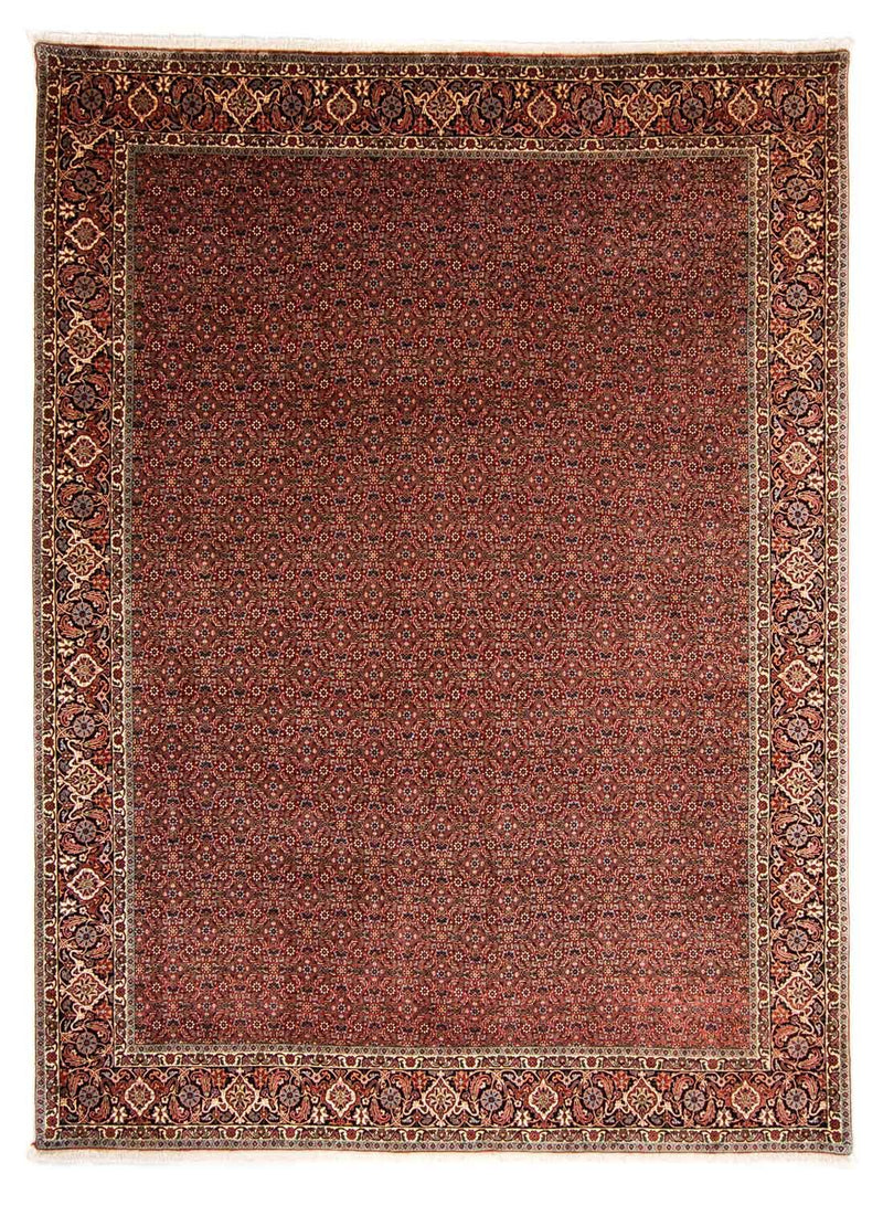 Bidjar Tapete 254x340cm - Tapete persa
