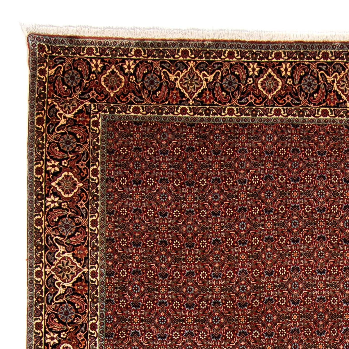 Bidjar Tapete 254x340cm - Tapete persa