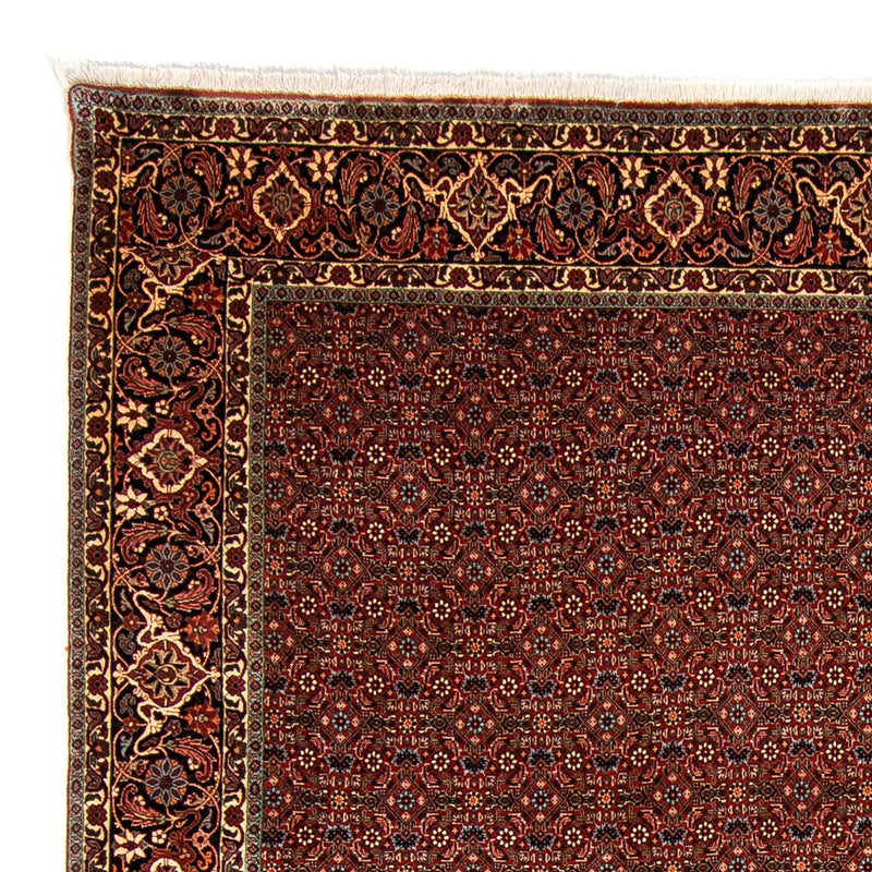 Bidjar Tapete 254x340cm - Tapete persa