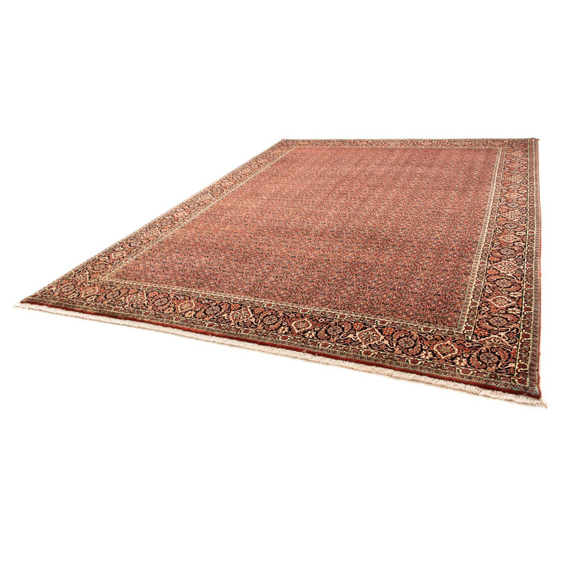 Bidjar Tapete 254x340cm - Tapete persa