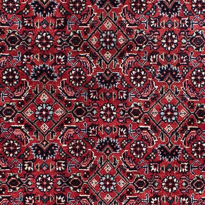 Bidjar - Zanjan Tapete 207x132cm - Tapete persa