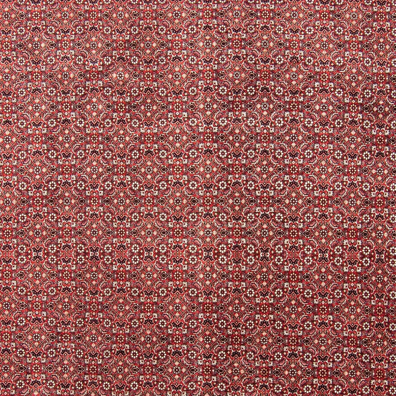 Bidjar Tapete 245x350cm - Tapete persa