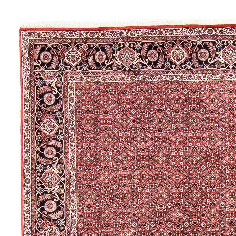 Bidjar Tapete 245x350cm - Tapete persa