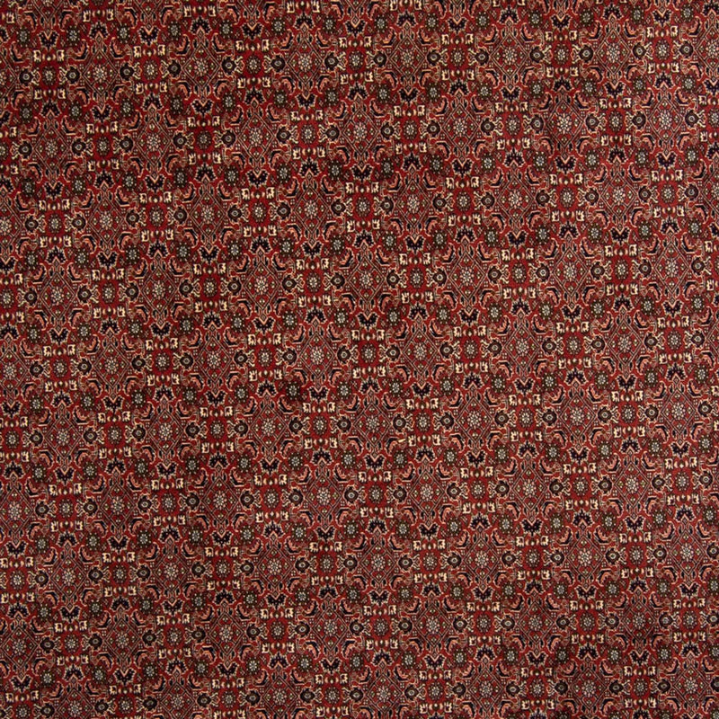 Bidjar Tapete 342x244cm - Tapete persa