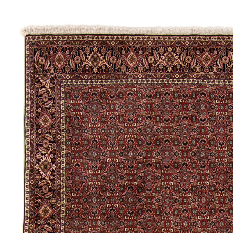 Bidjar Tapete 342x244cm - Tapete persa