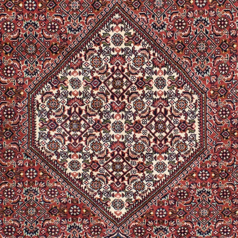 Bidjar - Zanjan Tapete 228x138cm - Tapete persa