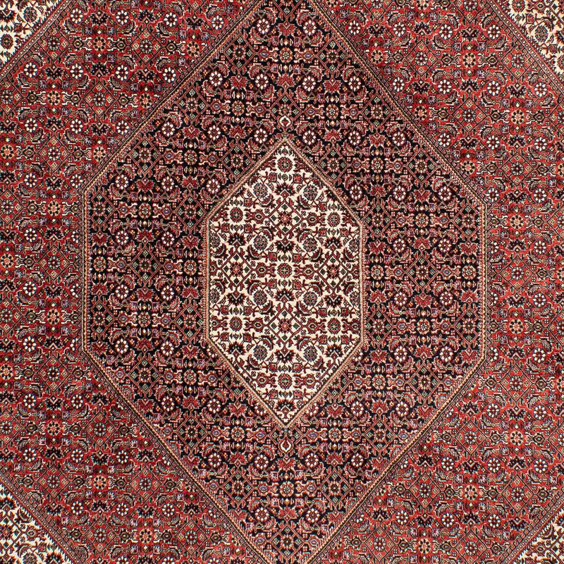 Bidjar Tapete 294x204cm - Tapete persa