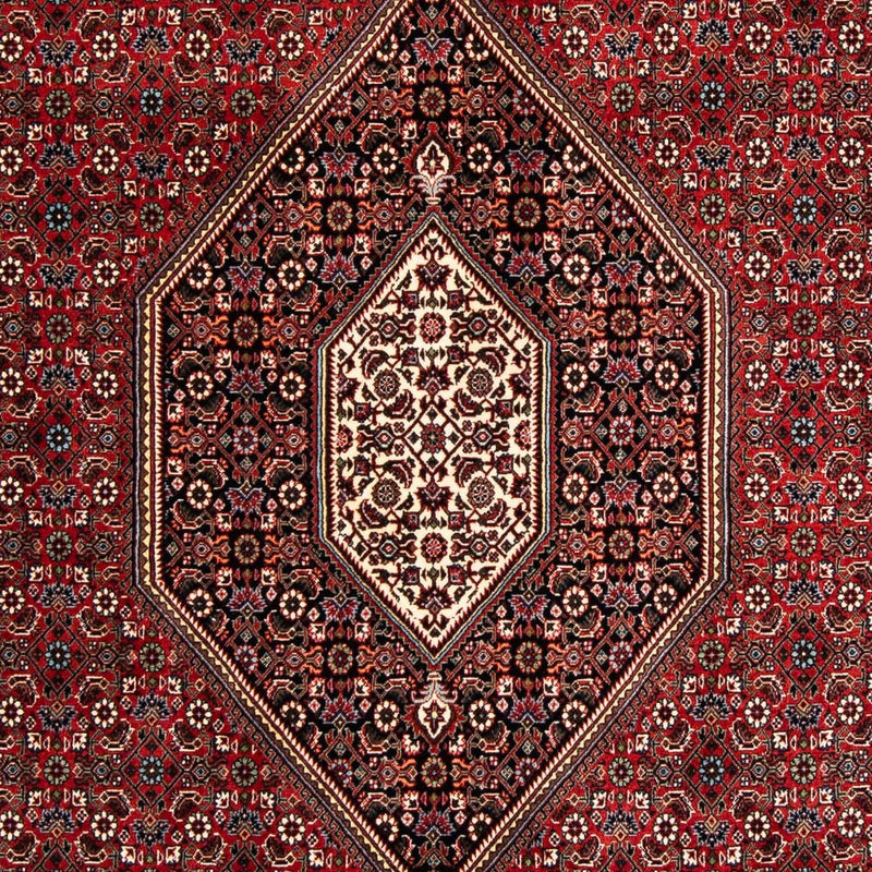 Bidjar Tapete 258x169cm - Tapete persa