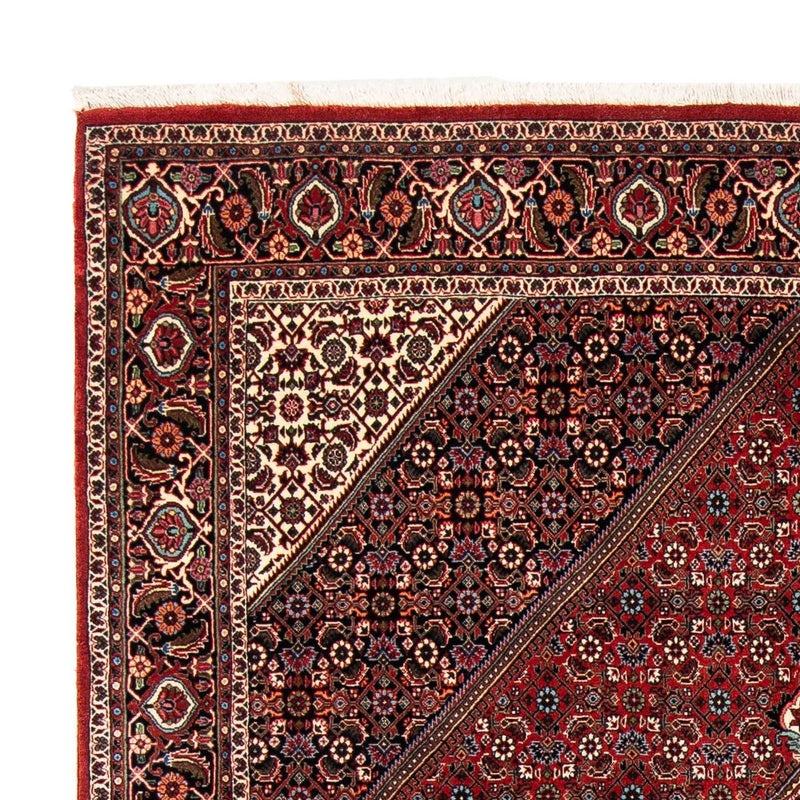 Bidjar Tapete 258x169cm - Tapete persa
