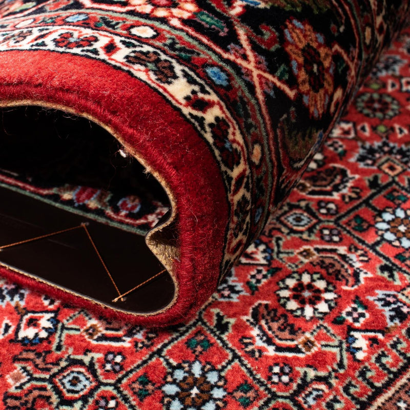 Bidjar Tapete 258x169cm - Tapete persa