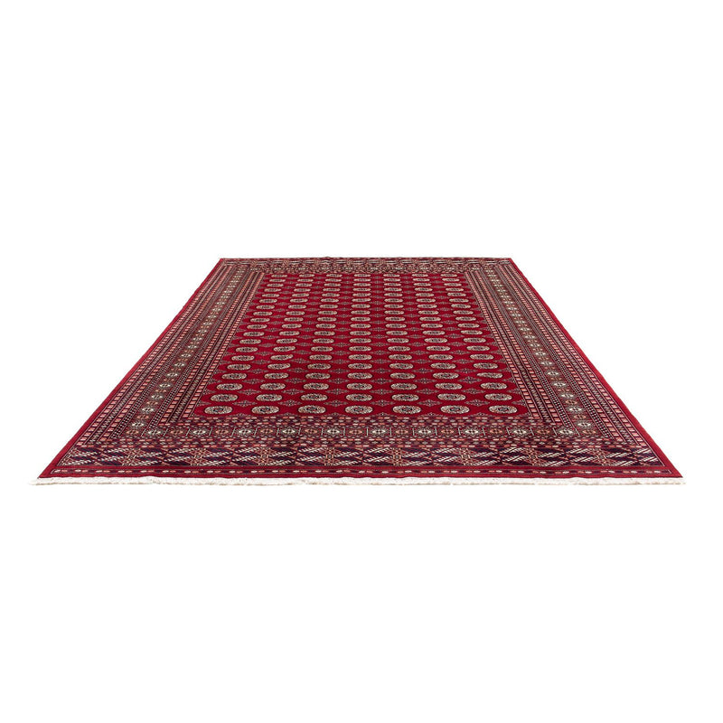 Tapete afegão - Bukhara - 303 x 253 cm - vermelho