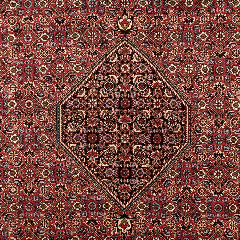 Bidjar Tapete 198x296cm - Tapete persa