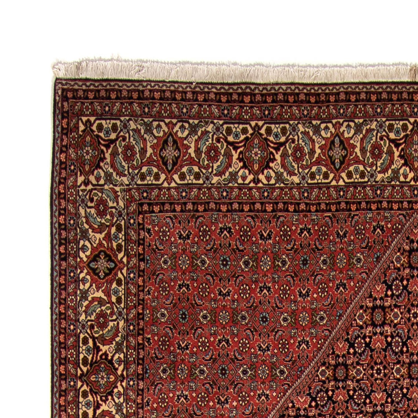 Tapete Persa - Bijar - 350 x 249 cm - castanho