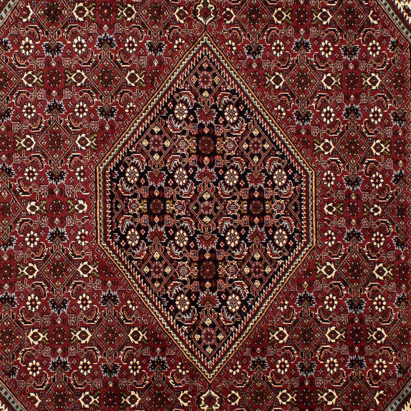 Bidjar Tapete 298x199cm - Tapete persa