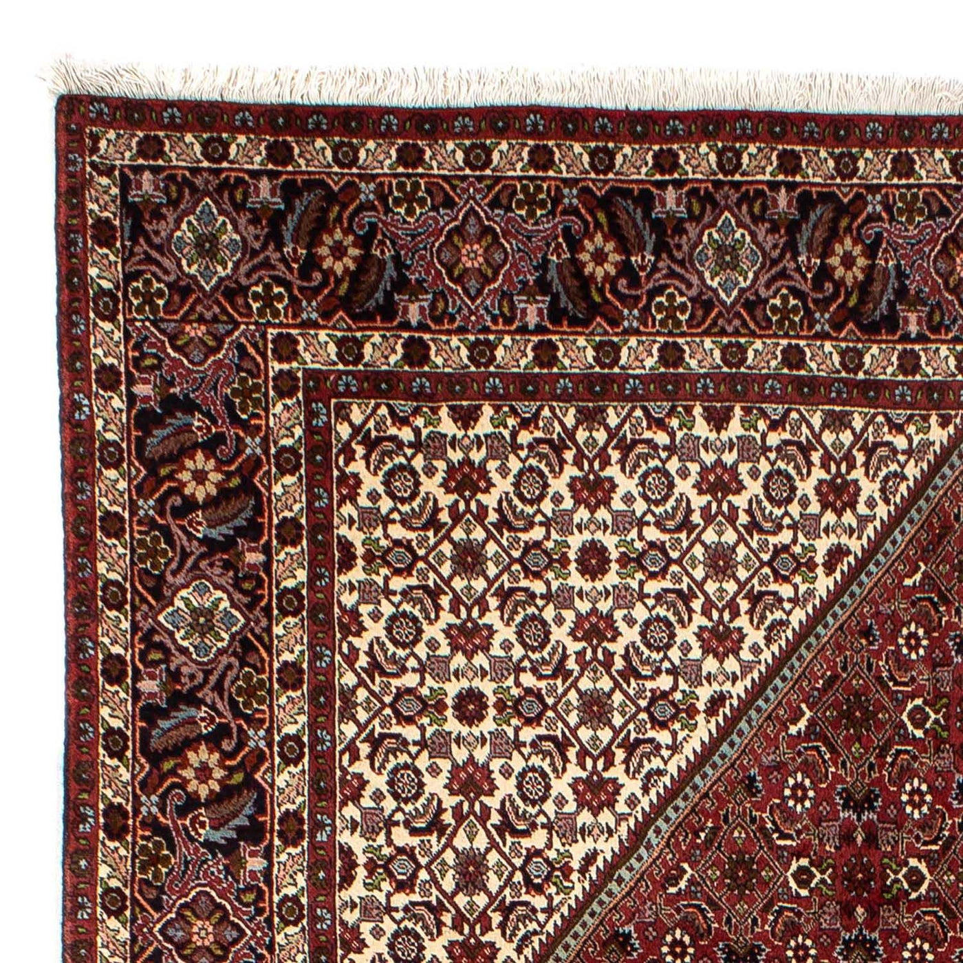 Bidjar Tapete 298x199cm - Tapete persa