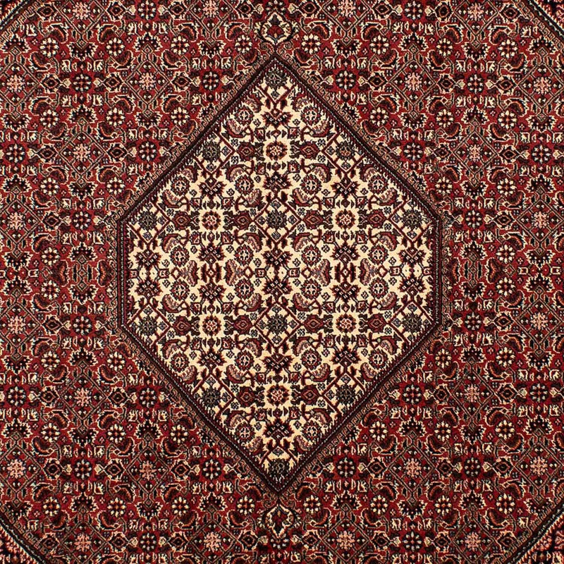 Bidjar Tapete 198x288cm - Tapete persa