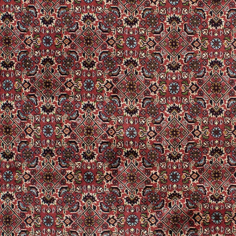 Bidjar - Zanjan Tapete 199x140cm - Tapete persa