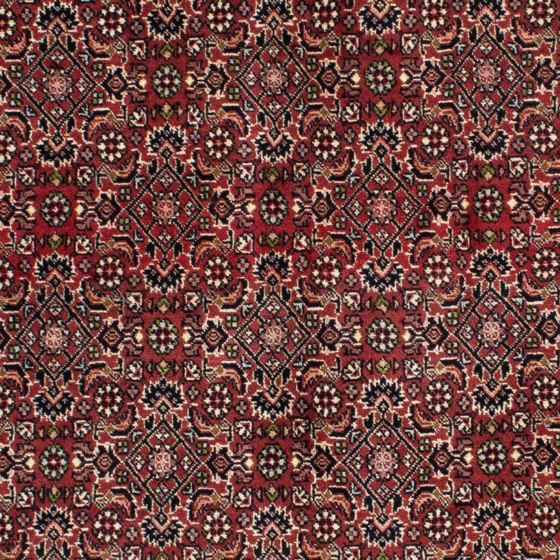 Bidjar - Zanjan Tapete 208x139cm - Tapete persa