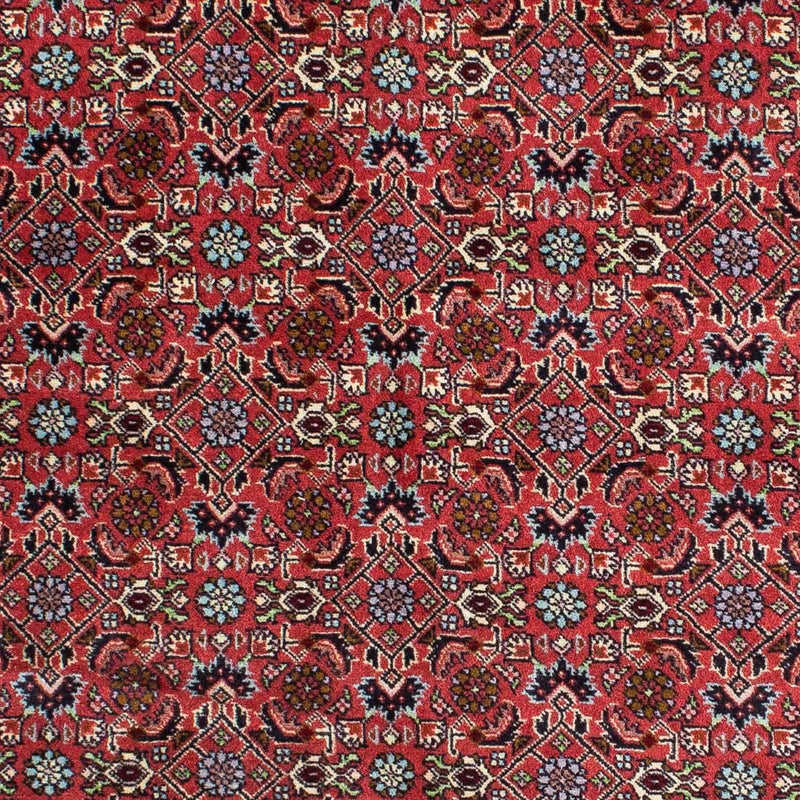Bidjar - Zanjan Tapete 200x140cm - Tapete persa