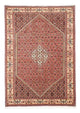Bidjar Tapete 252x173cm - Tapete persa