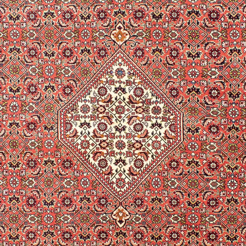 Bidjar Tapete 252x173cm - Tapete persa