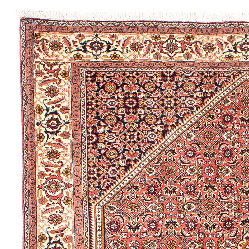 Bidjar Tapete 252x173cm - Tapete persa