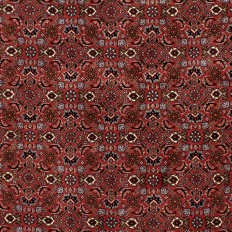 Bidjar Tapete 205x136cm - Tapete persa