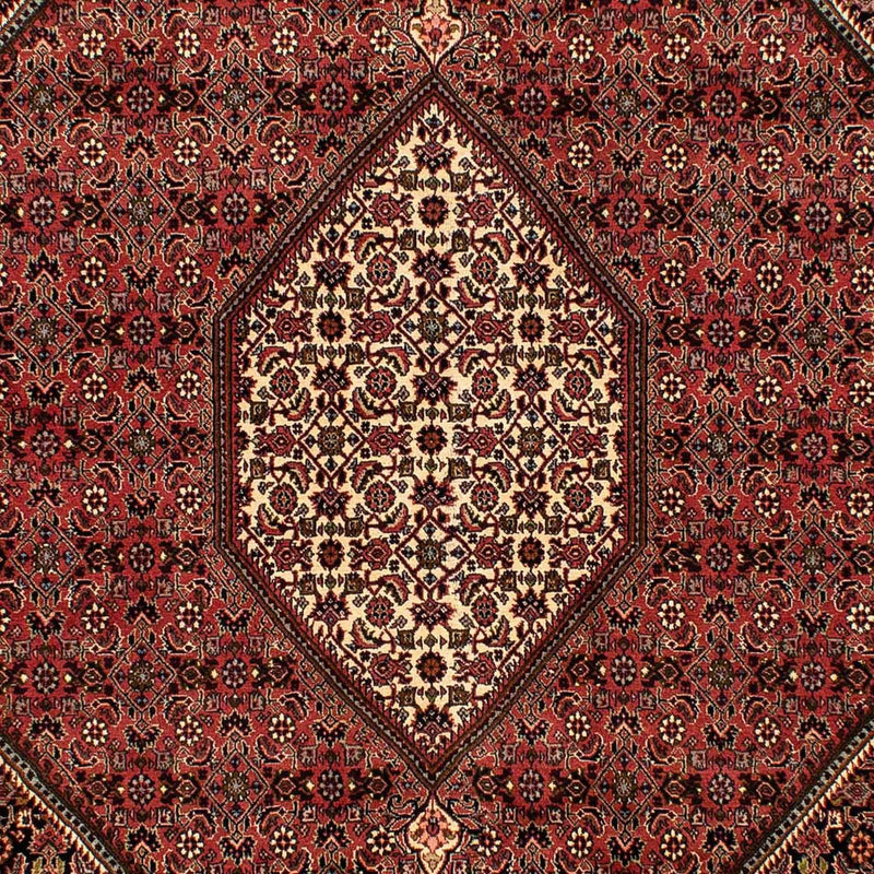 Bidjar Tapete 283x204cm - Tapete persa