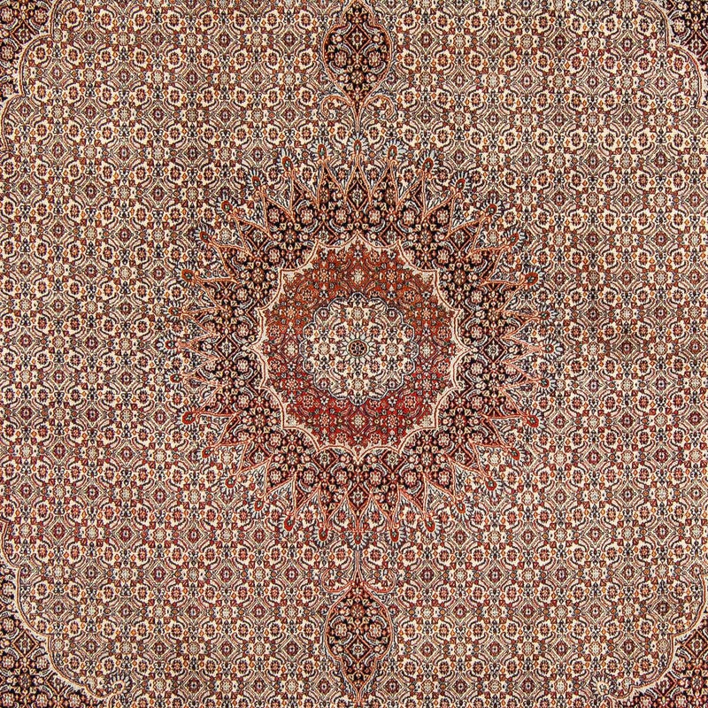 Tapete Persa - Clássico - 290 x 248 cm - castanho escuro