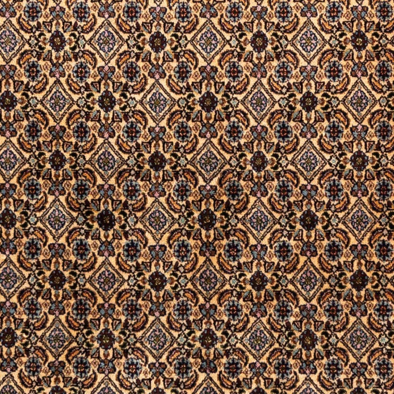 Moud Tapete 245x160cm - Tapete persa