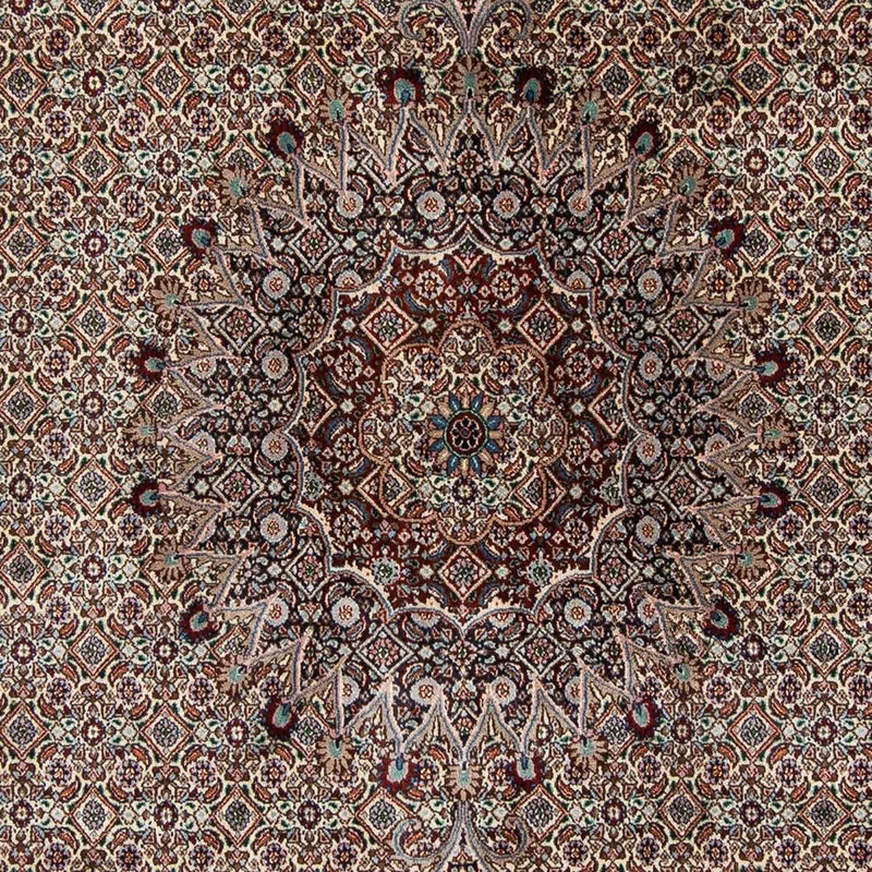 Moud Tapete 310x201cm - Tapete persa