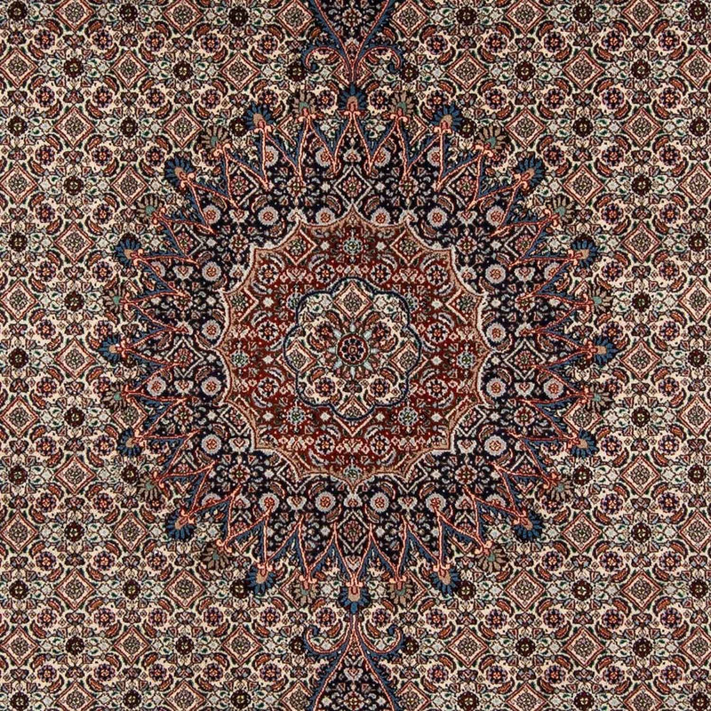 Moud Tapete 285x202cm - Tapete persa