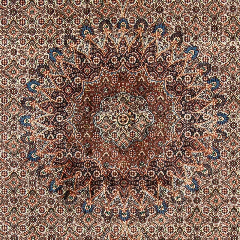 Moud Tapete 298x203cm - Tapete persa