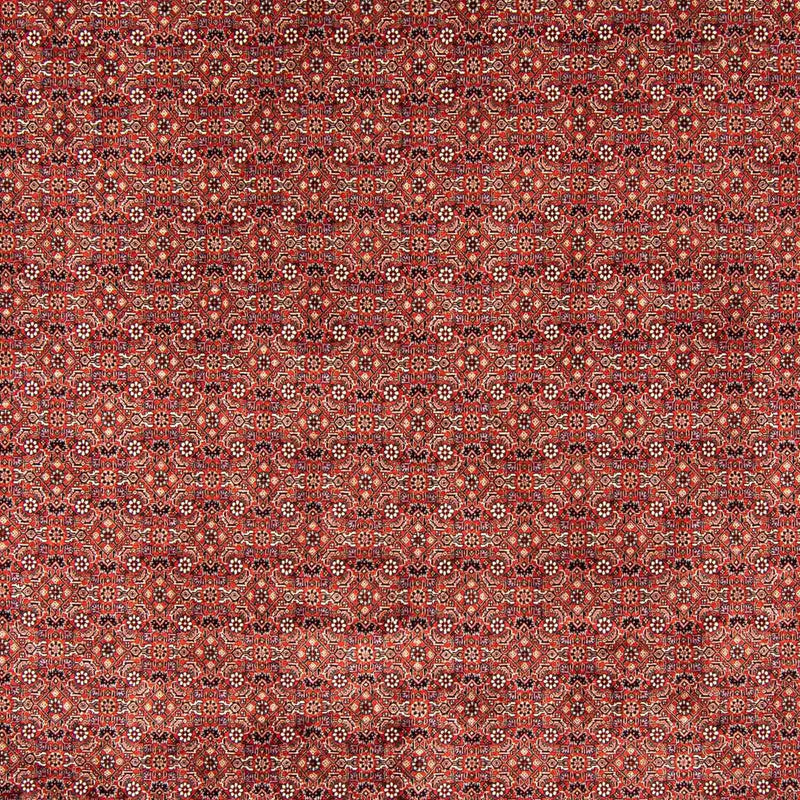 Bidjar Tapete 403x298cm - Tapete persa
