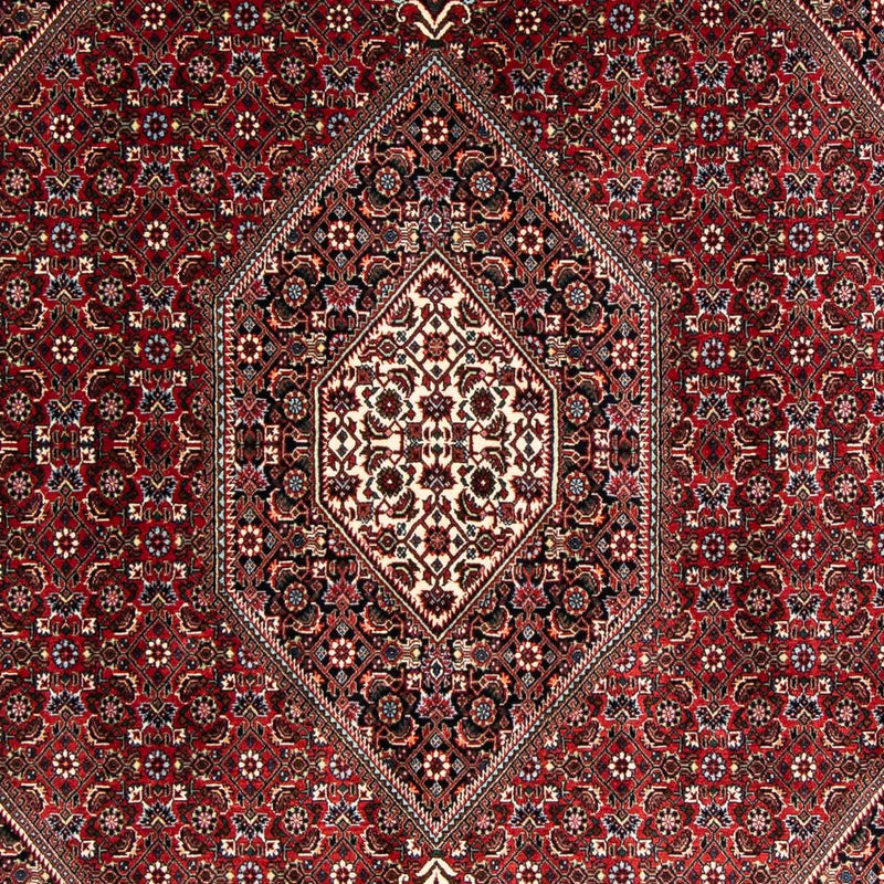Bidjar Tapete 170x235cm - Tapete persa