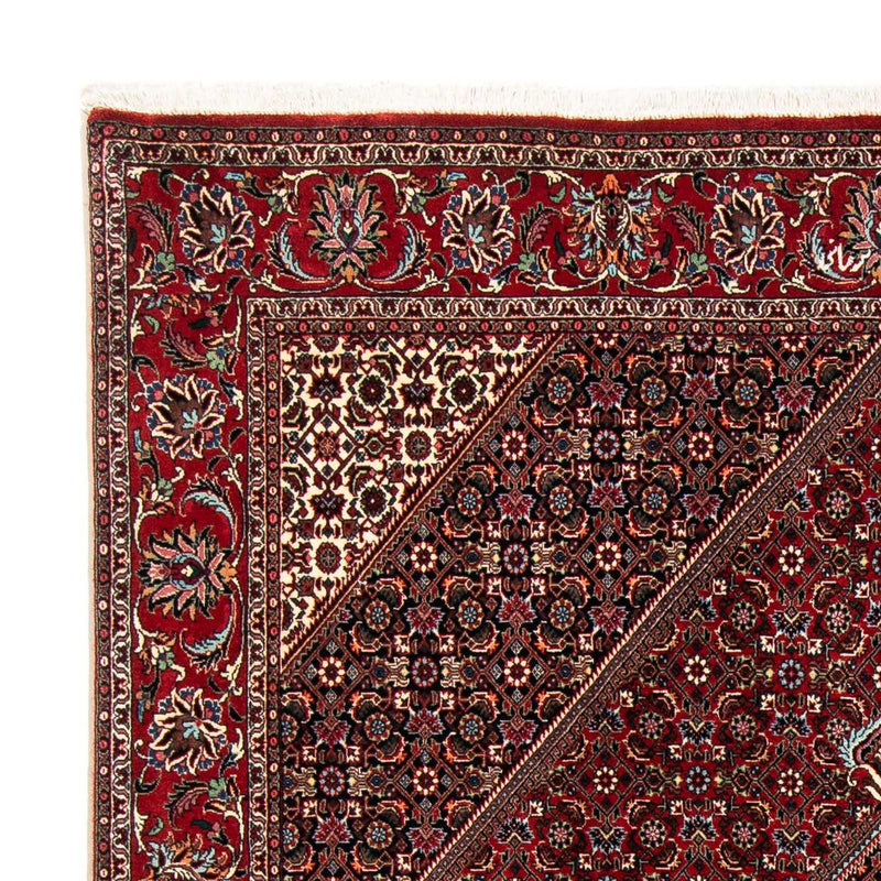 Bidjar Tapete 170x235cm - Tapete persa