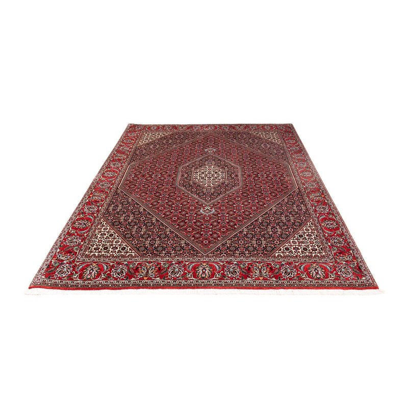 Bidjar Tapete 170x235cm - Tapete persa