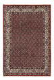 Moud Tapete 200x288cm - Tapete persa