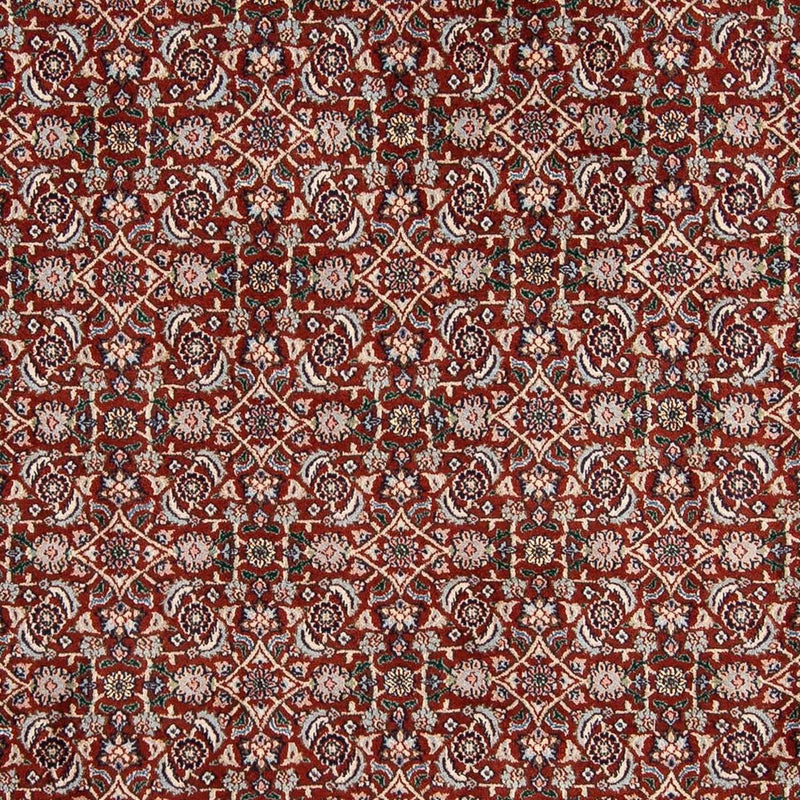 Moud Tapete 290x200cm - Tapete persa