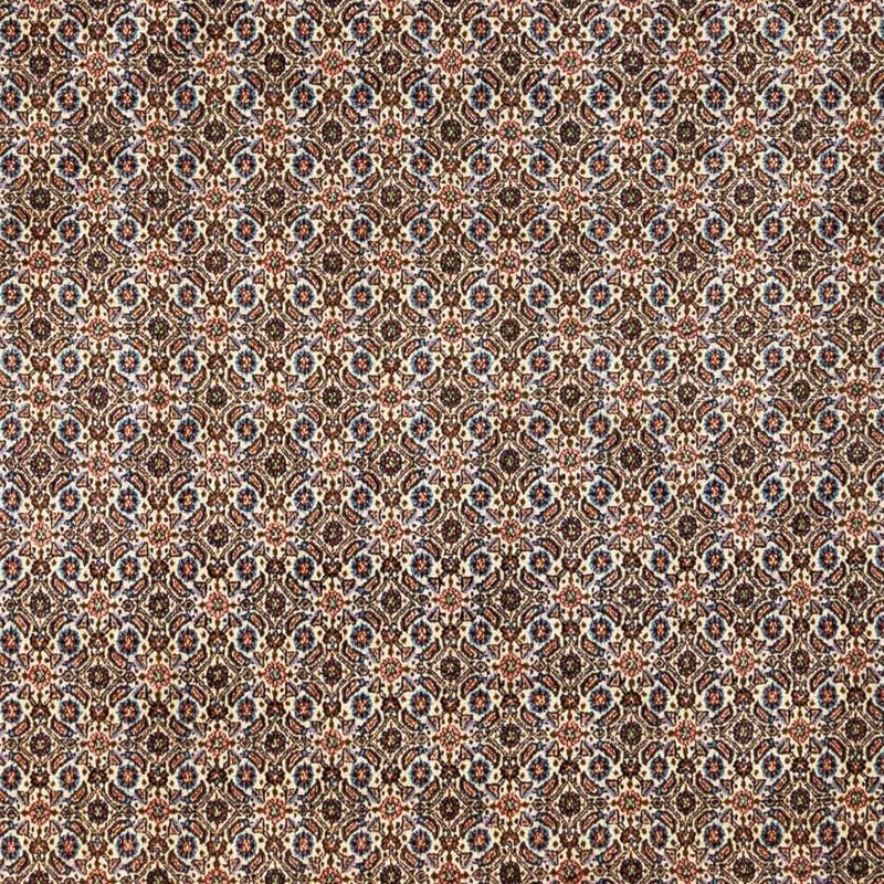 Moud Tapete 348x245cm - Tapete persa